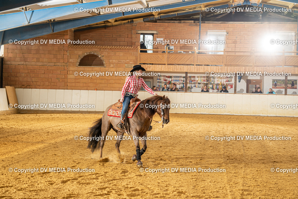 MIT00659 | dv-media-shop - Realisiert mit Pictrs.com