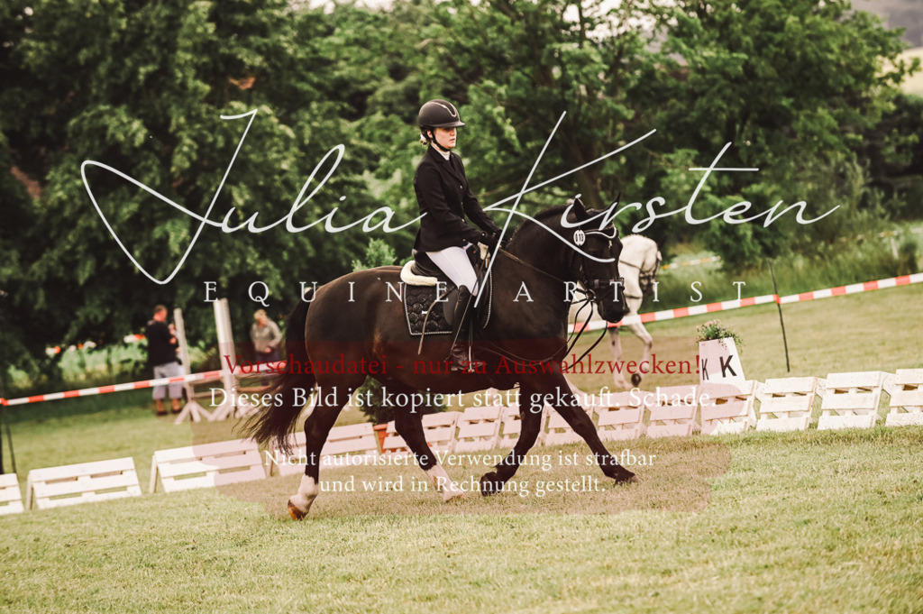 DSC_5082 | Pferde- und Turnierfotografie in Westsachsen. Pferdeportraits, Auftragszeichnungen und intuitive Kunst.