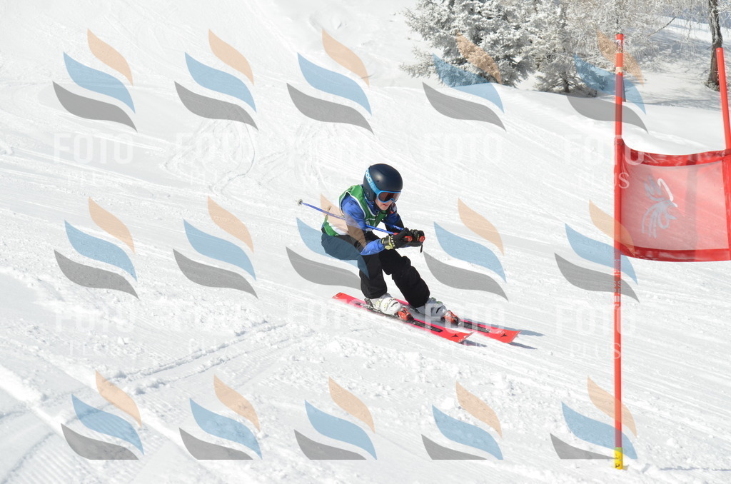 D8768 | holidayphoto