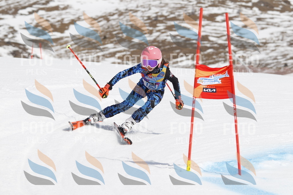 _U3G1784 | holidayphoto