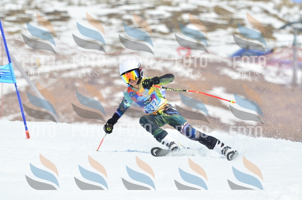 _ELE2406 | holidayphoto