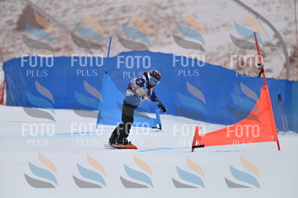 BGV_5064 | holidayphoto