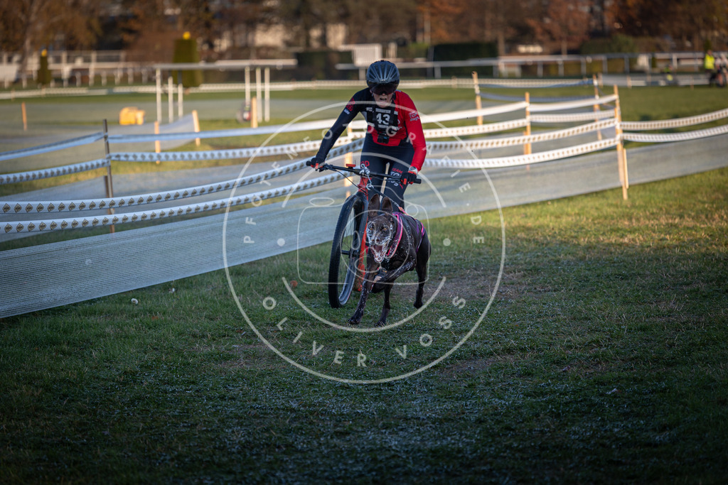 CaniXpix_0L8A2371 | Hundefotografie, Tierfotograf, Pfotenfotografie, Fotoshooting Hund, Hunde Portrait, Hundesport, Hundeportraits, Heideshooting, Hunde, Sportfotograf, Hundefotograf, Turnierhundsport, THS,  - Realisiert mit Pictrs.com