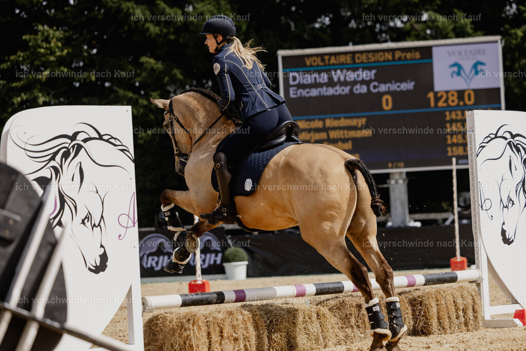 Diana11_FHC2025-20603 | working equitationturnier fotograf videograf stoibphotography marixx film working equitation deutschland reitsport turnierfotografie eventfotografie equestrian events