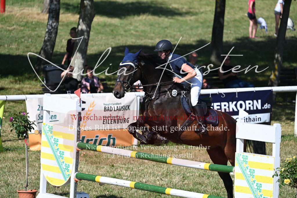 DSC_1849 | Pferde- und Turnierfotografie in Westsachsen. Pferdeportraits, Auftragszeichnungen und intuitive Kunst.