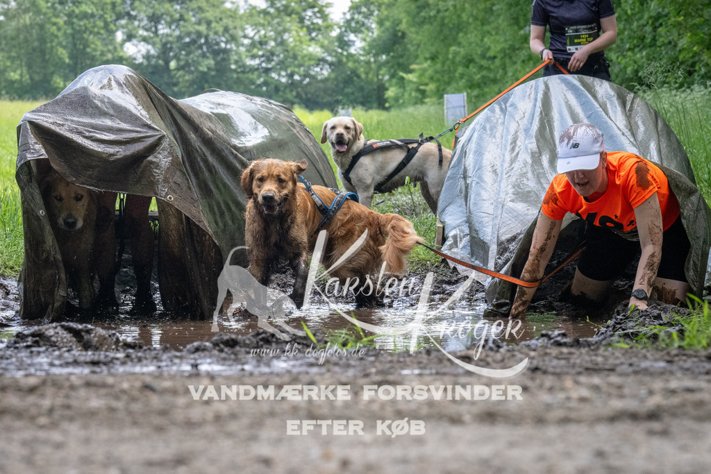 1145_ZZ94342 | kk-dogfotos