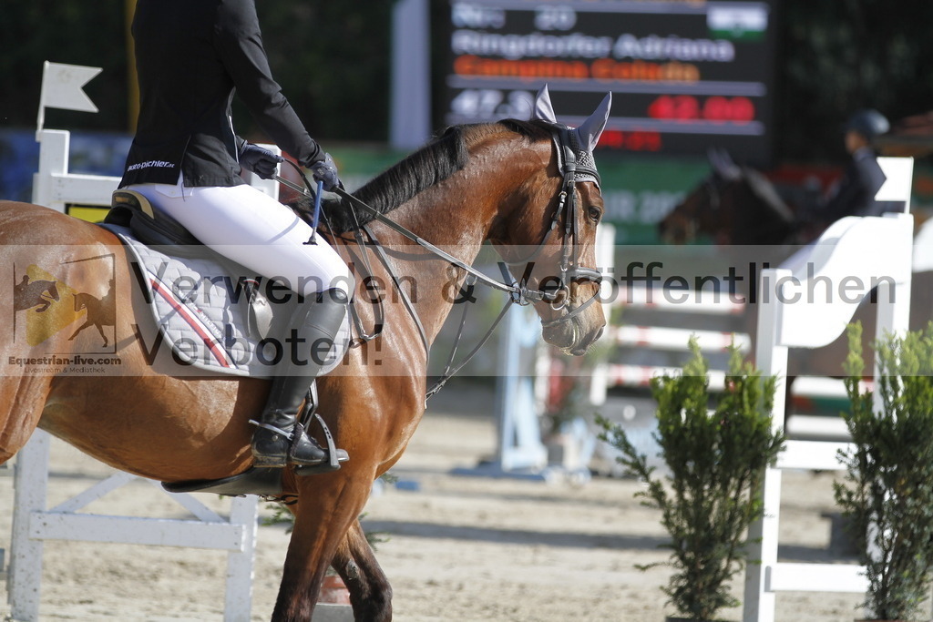 _MG_8492 | equestrian-live-com