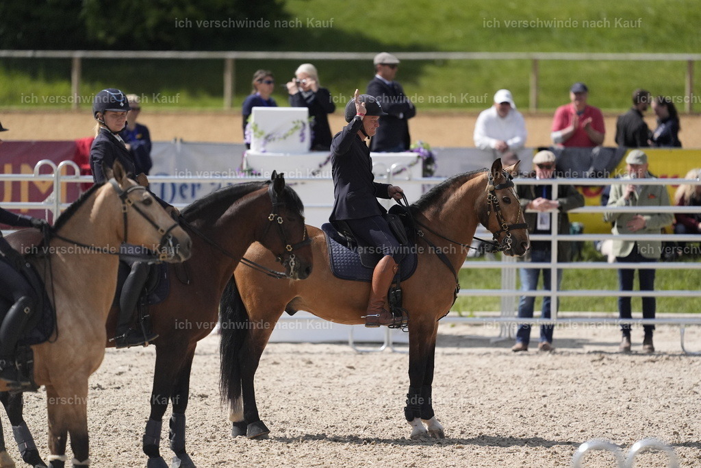 PI26_COW_Stoibphotography_DSC5702.JPG | working equitationturnier fotograf videograf stoibphotography marixx film working equitation deutschland reitsport turnierfotografie eventfotografie equestrian events
