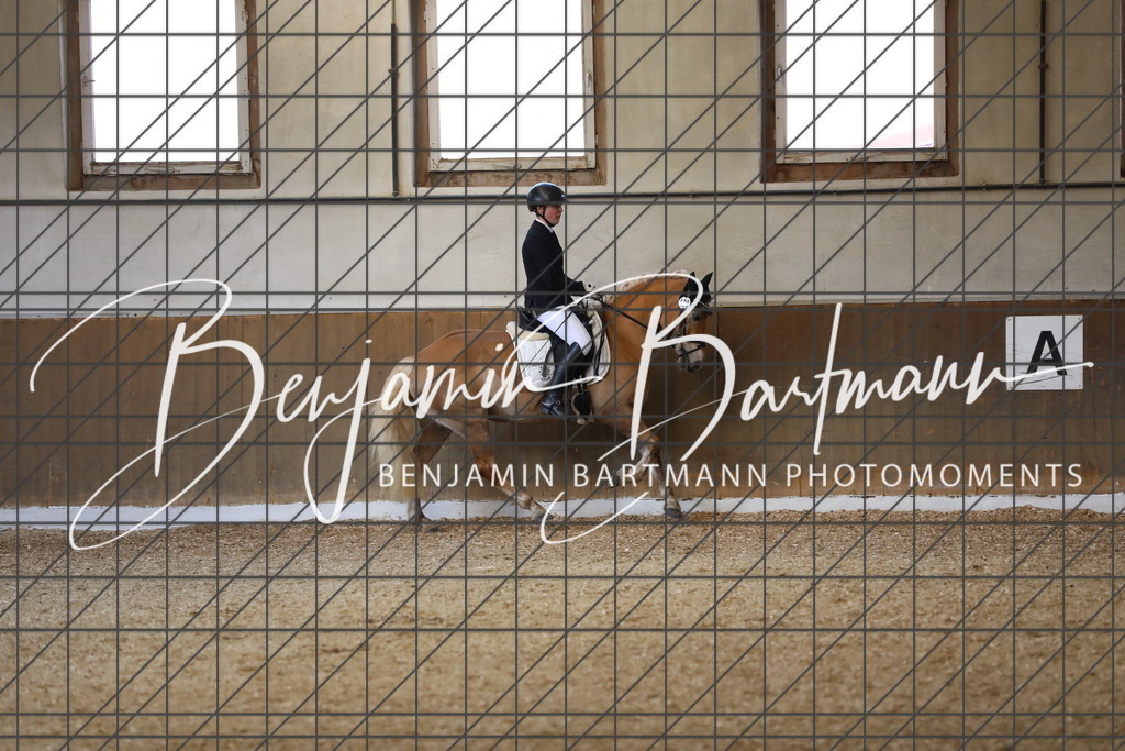 AZ2A8453 | Benjamin Bartmann Photomoments