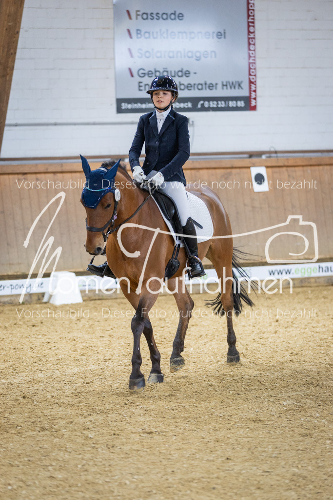 Sth-LPO25-A-Dr-117 | MomenTaufnahmen Pferdesportfotos