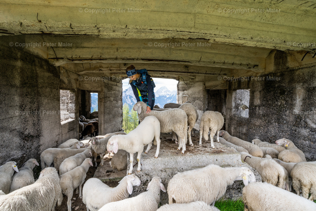 Prisank_Via_Ferrata-42 | piet_flosse