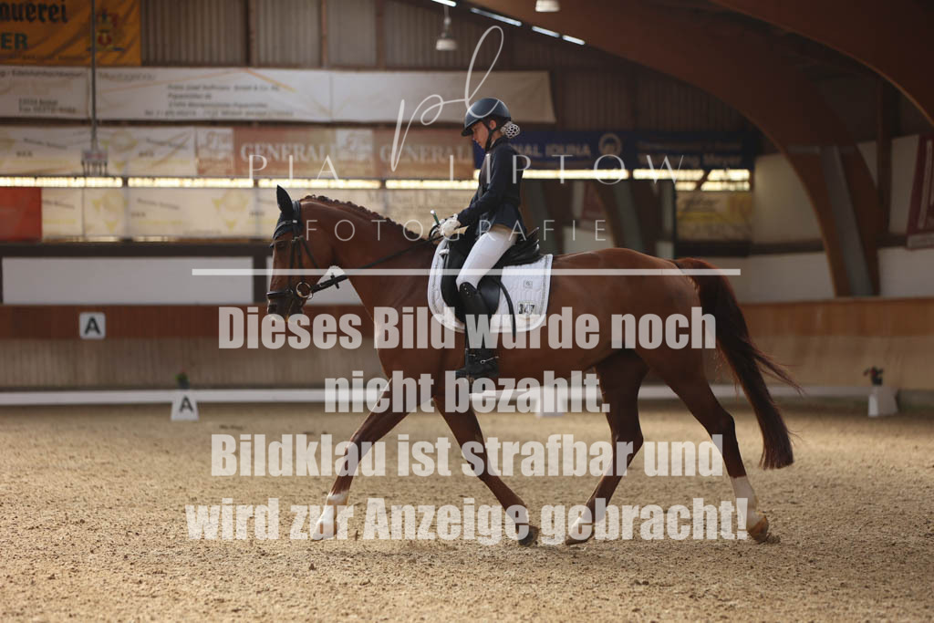 IMGS0439 | pl-fotografie