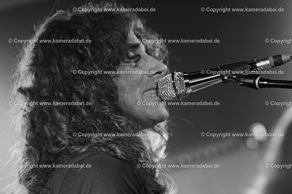 Konzert : Impala Spring am 14.11.2025 im Rare Guitar Münster | Konzert : Impala Spring am 14.11.2025 im Rare Guitar Münster - Realisiert mit Pictrs.com