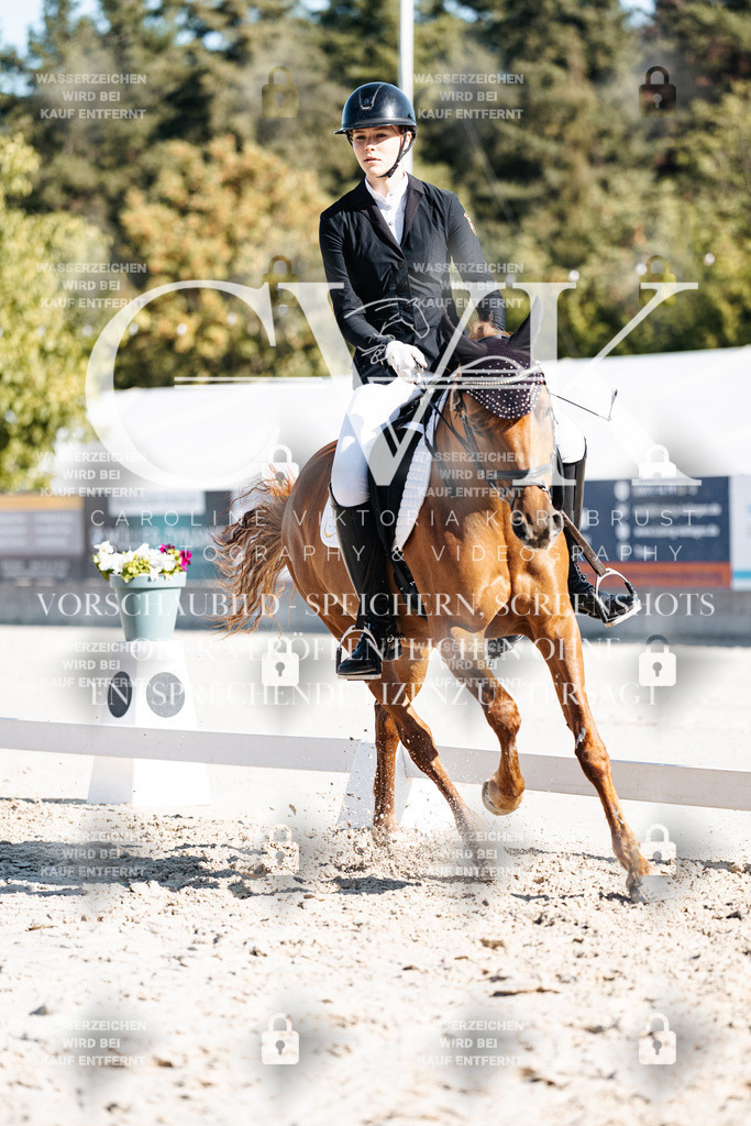 CK907900 | Turnierfotografie Pferdefotografie Trier Rheinland-Pfalz Pferdesport Reitsport Tierfotografie Sportfotografie Pferdevideo Pferdevideografie Equestrianvideography equestrianphotography  - Realisiert mit Pictrs.com