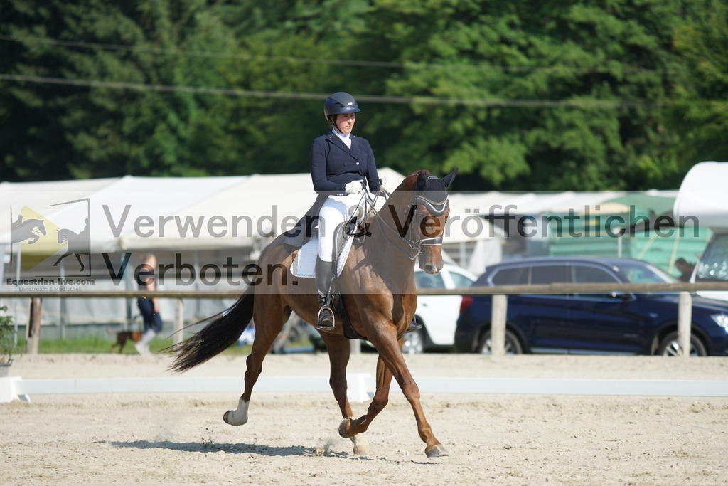 DSC02478 | equestrian-live-com