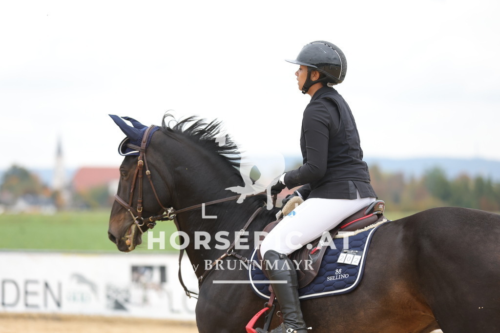 0P6A2883 | Willkommen bei Brunnmayr - Design & Fotografie – Ihrem Spezialisten für Reitturniere und Pferdeveranstaltungen in Oberösterreich, Salzburg und Bayern! Seit über 17 Jahren sind wir leidenschaftlich dabei.
