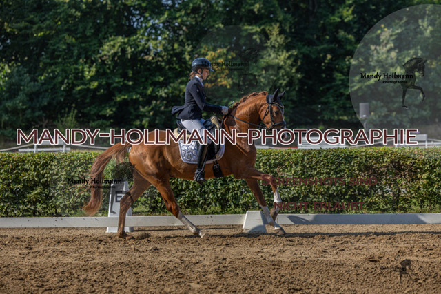 15.8.25 D1 RPF 3j (222 von 255) | mandyhollmannphotographie