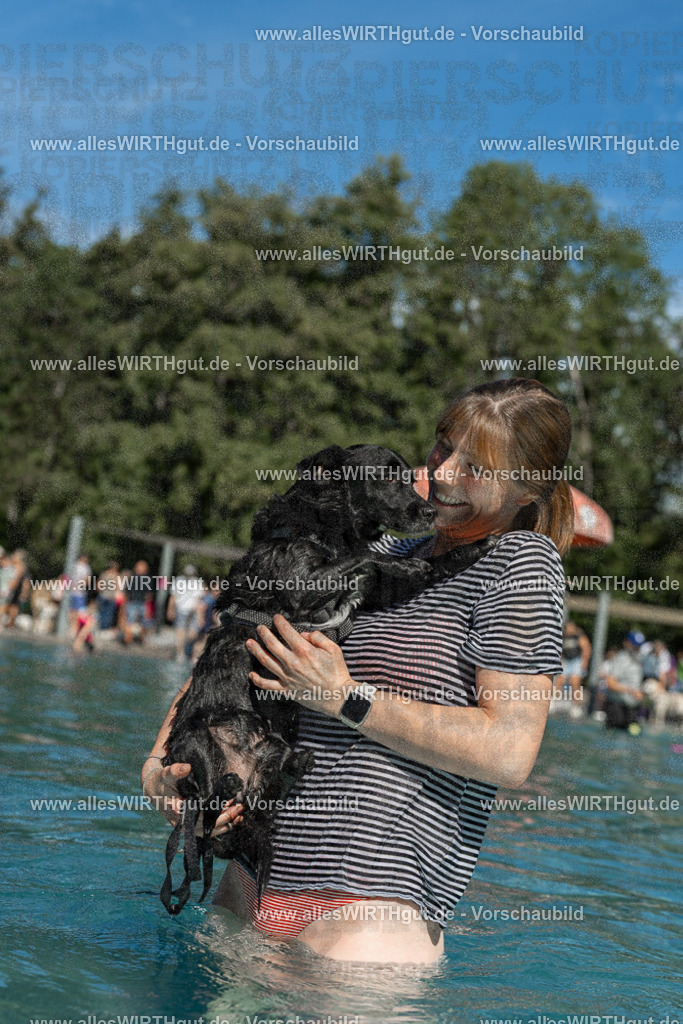 Hundeschwimmen_Volksbad_2026-allesWIRTHgut_Tierfotografie-2609061257-120726-7R500339 | Professionelle Tierfotografie in Mönchengladbach von Daniel Wirth (allesWIRTHgut). Liebevolle & natürliche Bilder von Hunden & Katzen für unvergessliche Erinnerungen.