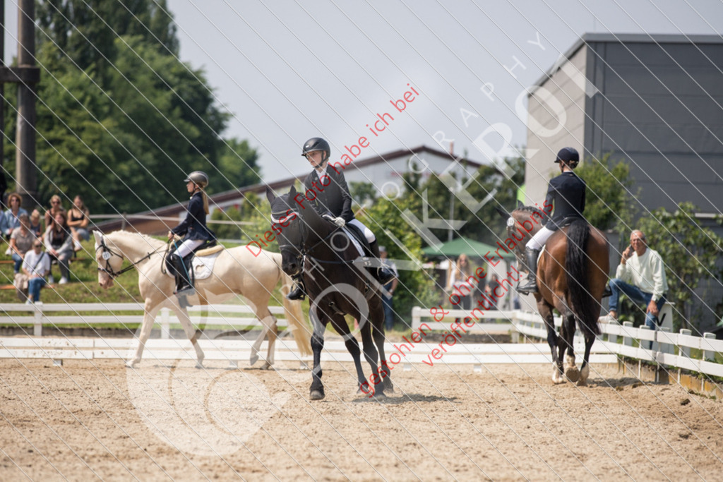 IMG_3901 | Sport-, Event- und Tierfotos in Profiqualität. Einfach auswählen, bestellen und herunterladen. Dein Moment – perfekt festgehalten.
