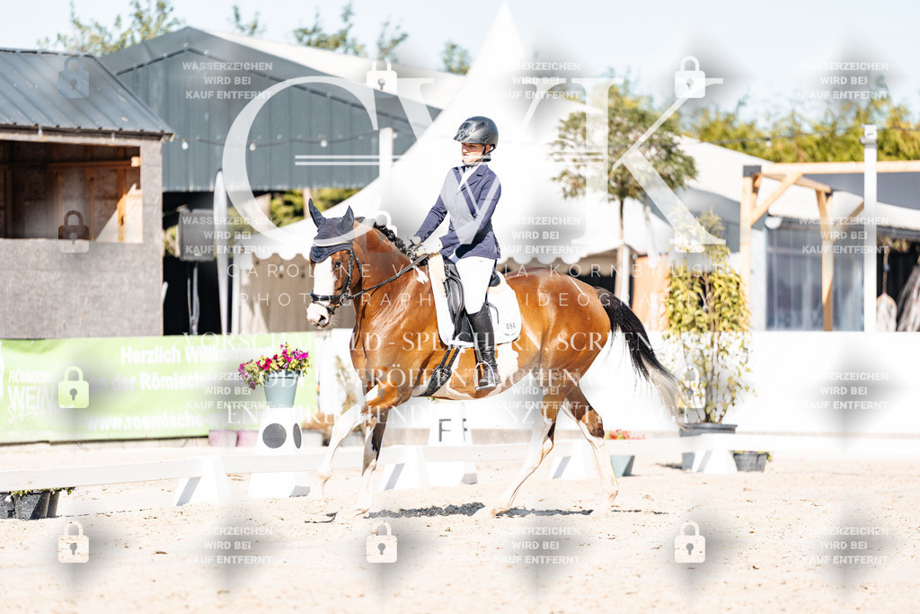 CK908123 | Turnierfotografie Pferdefotografie Trier Rheinland-Pfalz Pferdesport Reitsport Tierfotografie Sportfotografie Pferdevideo Pferdevideografie Equestrianvideography equestrianphotography  - Realisiert mit Pictrs.com