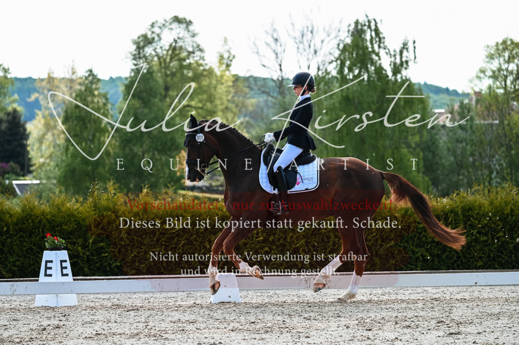 20230513_JK-Röhrsdorf-10-0498 | Pferde- und Turnierfotografie in Westsachsen. Pferdeportraits, Auftragszeichnungen und intuitive Kunst.