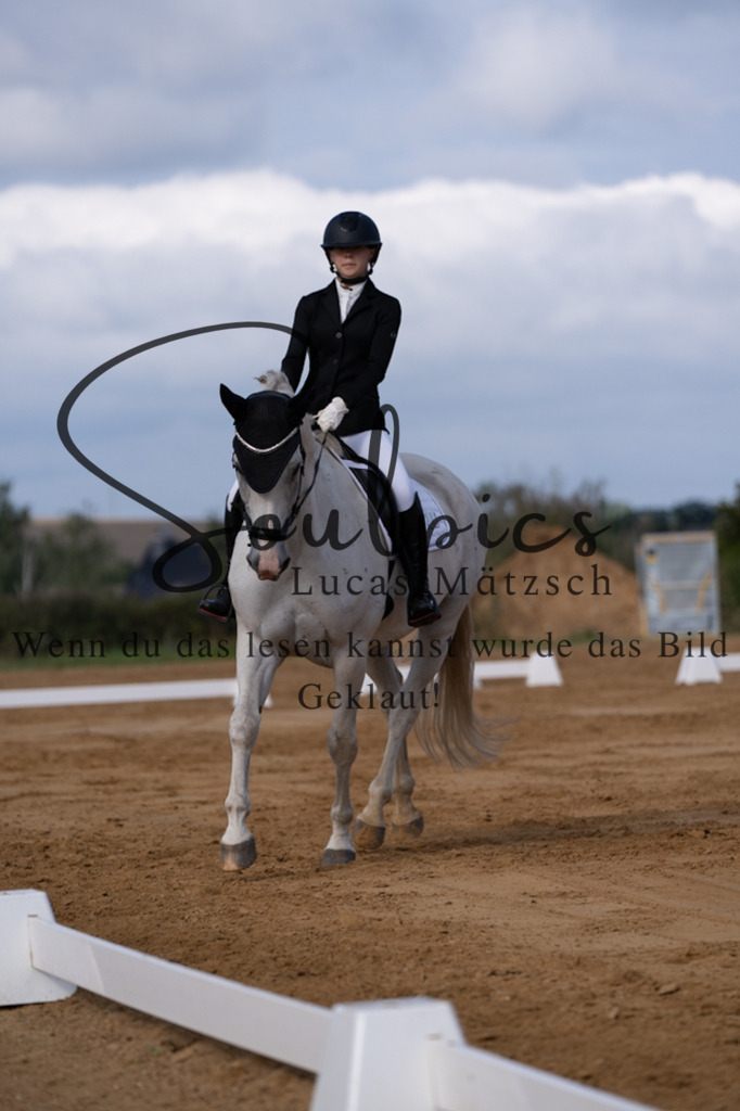 A7V05145 | Pferdefotograf