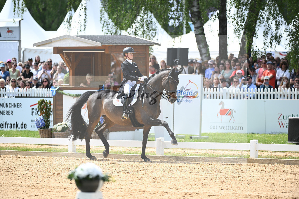 v Bredow-Werndl_TSF Dalera BB_12244395 | hf-fotografie - Realisiert mit Pictrs.com