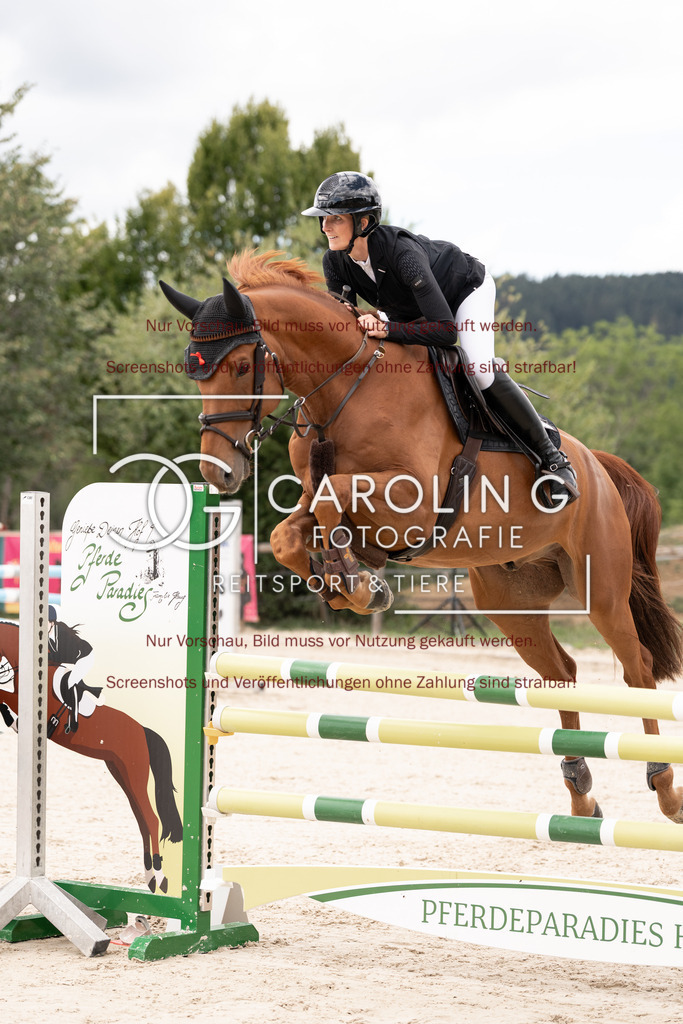 DSC06449 | Springturnier_Teamchallege_Talheim_2026, Vera_Haas, Argo_65