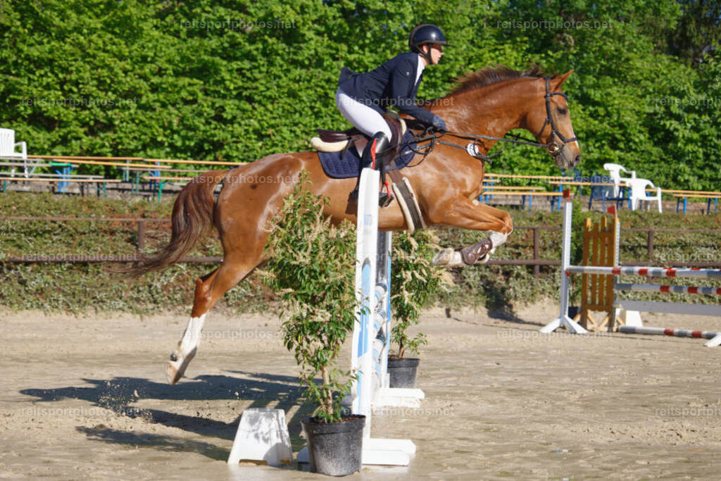 JHE_0595 | JoYa Fotografie - Realisiert mit Pictrs.com