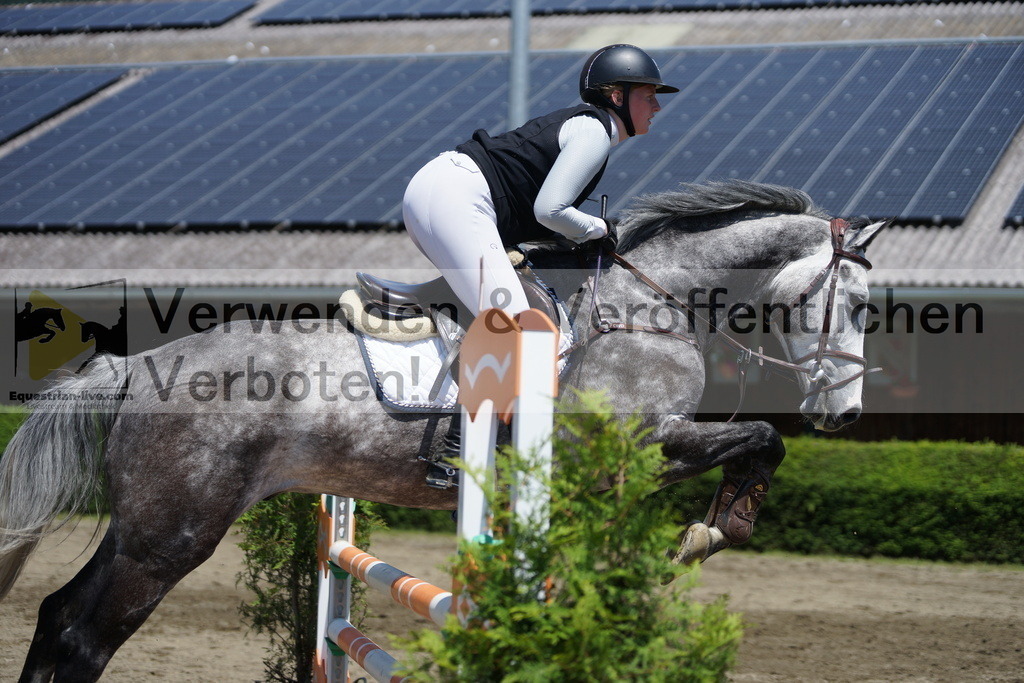 DSC06195 | equestrian-live-com