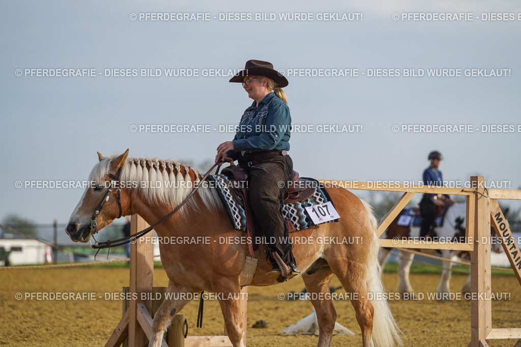 DSC00385 | Pferdegrafie