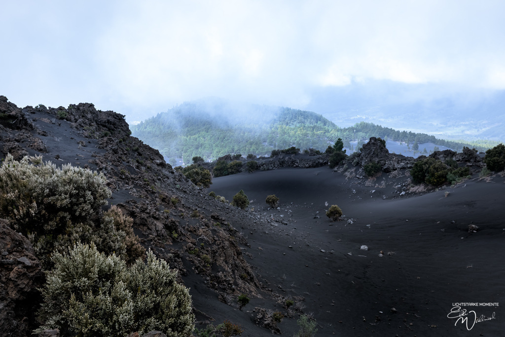 20250318-150254 LA PALMA_022-1 | Herzlich willkommen auf meiner Seite! Ich bin Elke Wallnisch, Deine Fotografin für lichtstarke Momente. Der Name steht für alles, was mich mit der Fotografie verbindet: Das Licht und seine machtvolle Wirkung auf eine Situation oder unsere Stimmung - Realisiert mit Pictrs.com