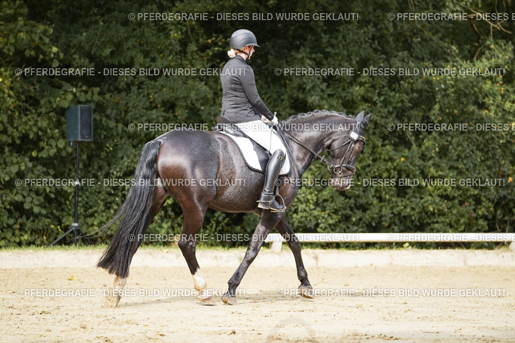 DSC02158 | Pferdegrafie