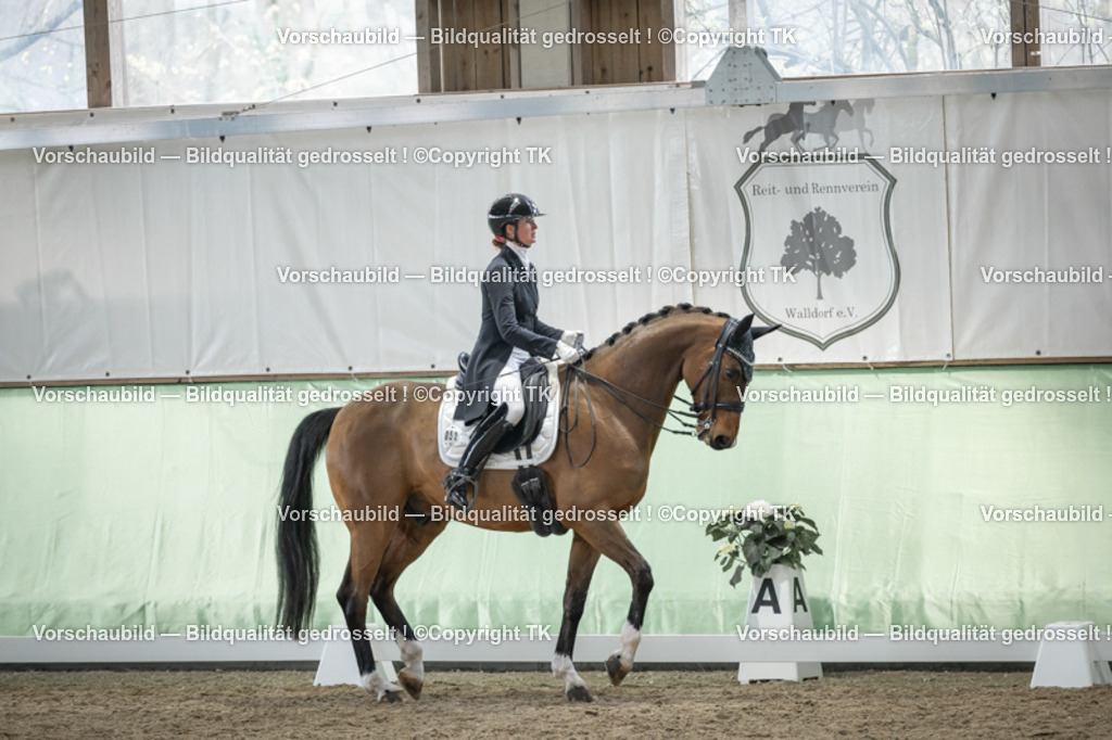 _D5A6205 | Emotionale Pferde- & People-Fotografie rund um Heidelberg, Leimen & Umgebung. Natürliche Fotos von Pferd, Mensch & Familie. Jetzt Termin sichern!