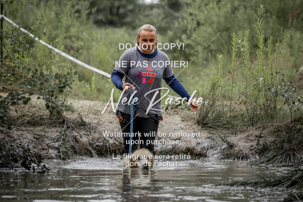 nelerasche_so0800-0930_463 | nelerasche