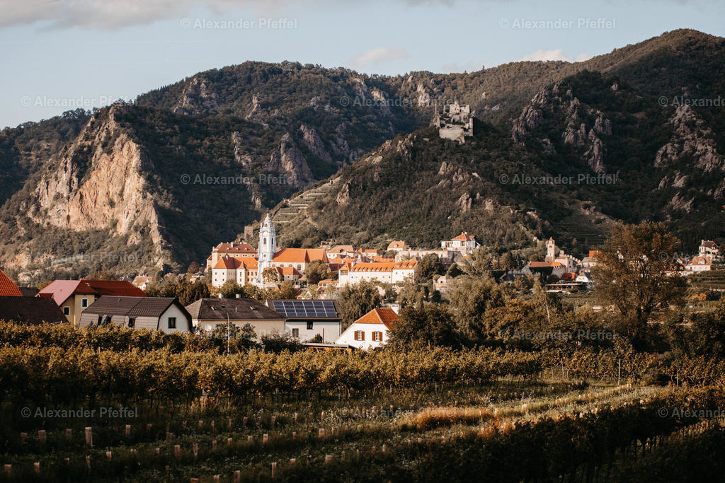 datei_c_alexander_pfeffel-8465-3 | alexander-pfeffel - Realisiert mit Pictrs.com