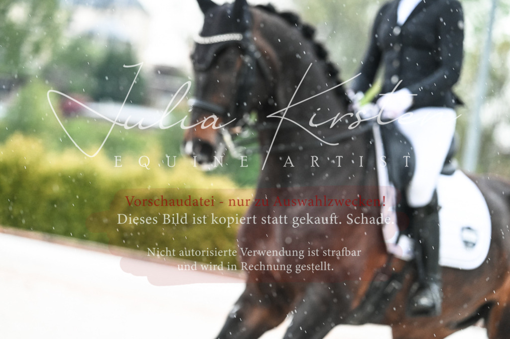 DSC_4320 | Pferde- und Turnierfotografie in Westsachsen. Pferdeportraits, Auftragszeichnungen und intuitive Kunst.