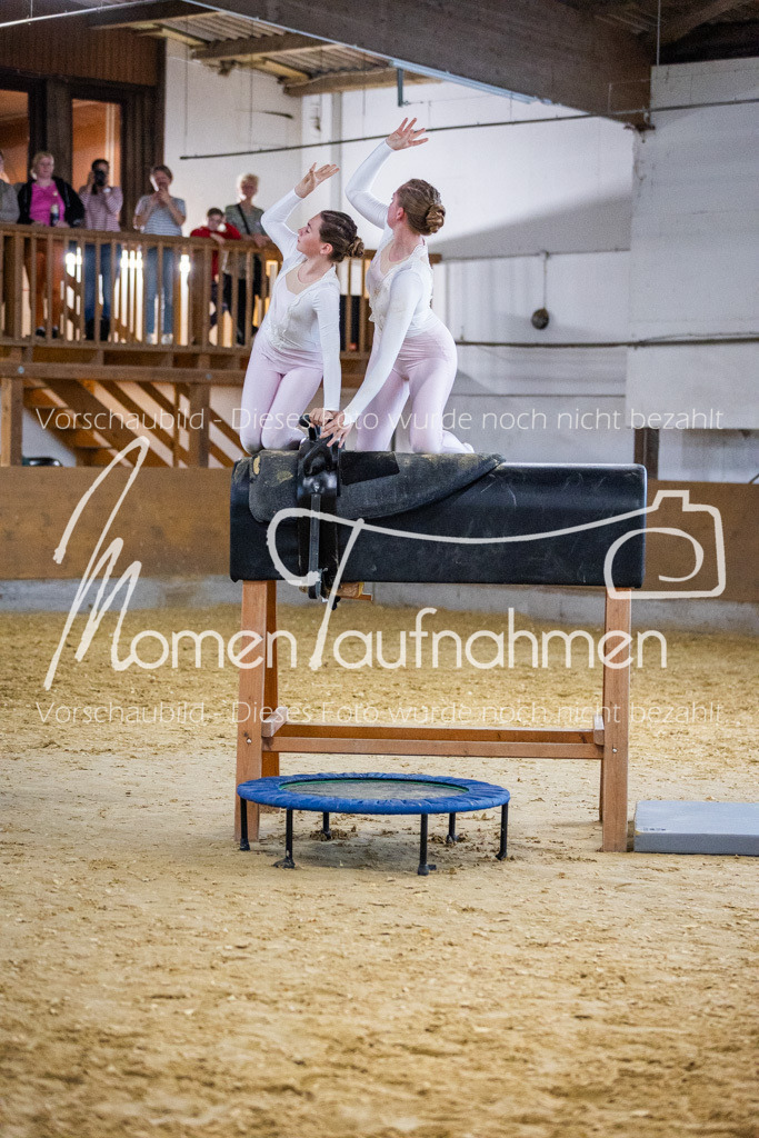 Holzpferd-104 | MomenTaufnahmen Pferdesportfotos