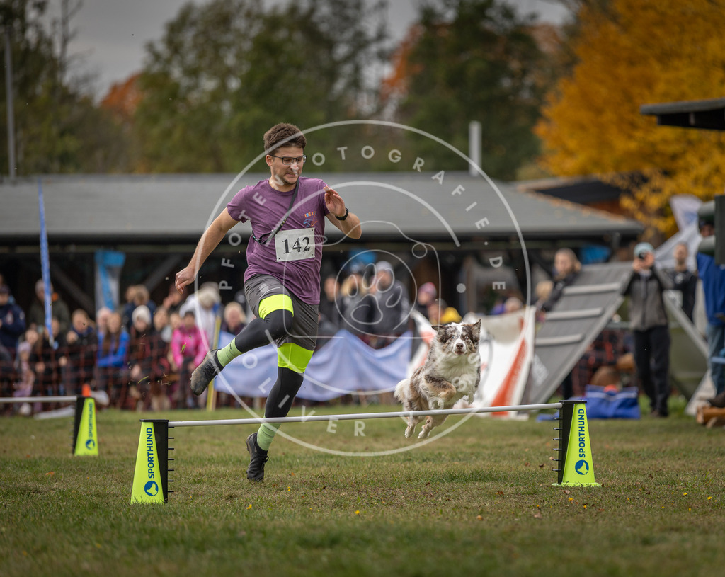 Pfotenfotografie_DV3A7905 | Hundefotografie, Tierfotograf, Pfotenfotografie, Fotoshooting Hund, Hunde Portrait, Hundesport, Hundeportraits, Heideshooting, Hunde, Sportfotograf, Hundefotograf, Turnierhundsport, THS,  - Realisiert mit Pictrs.com