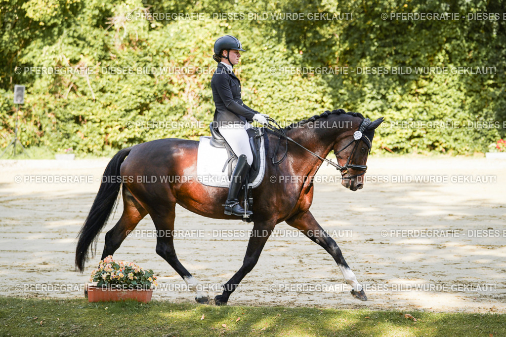 DSC07923 | Pferdegrafie