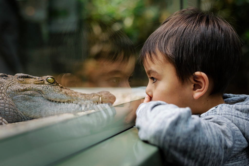 _DSC5357-1 | photoluigi