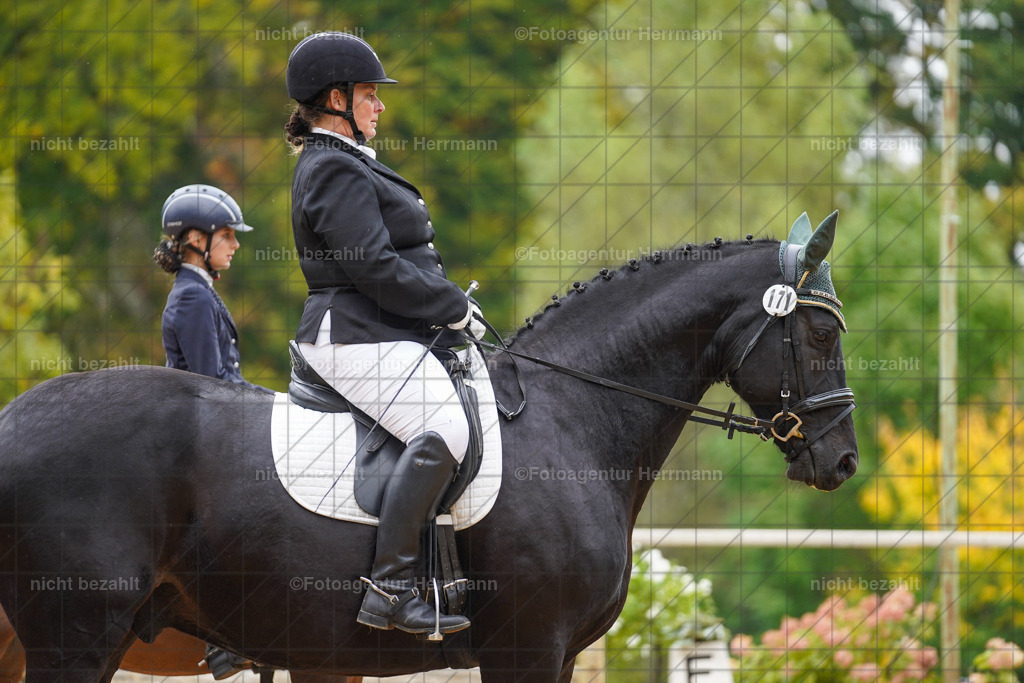 20221008-FAH01711 | Diessen am Ammersee, 2022, Dressur- und Springturnier, Reitsportbilder, Turnierfotografen Bayern, Pferdefotografen, Fotoagentur Herrmann, Turnierbilder