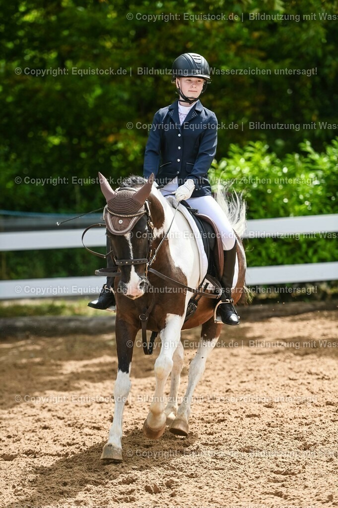 20230716_10-2_Reiter-WB Schritt - Trab - Galopp_0179 | equistock