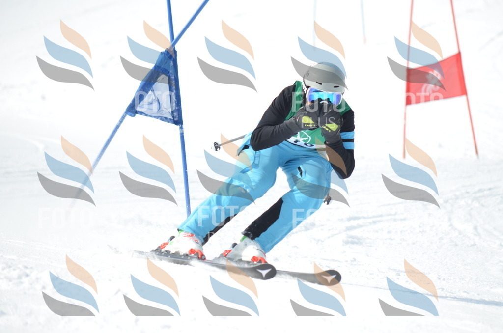 D9229 | holidayphoto