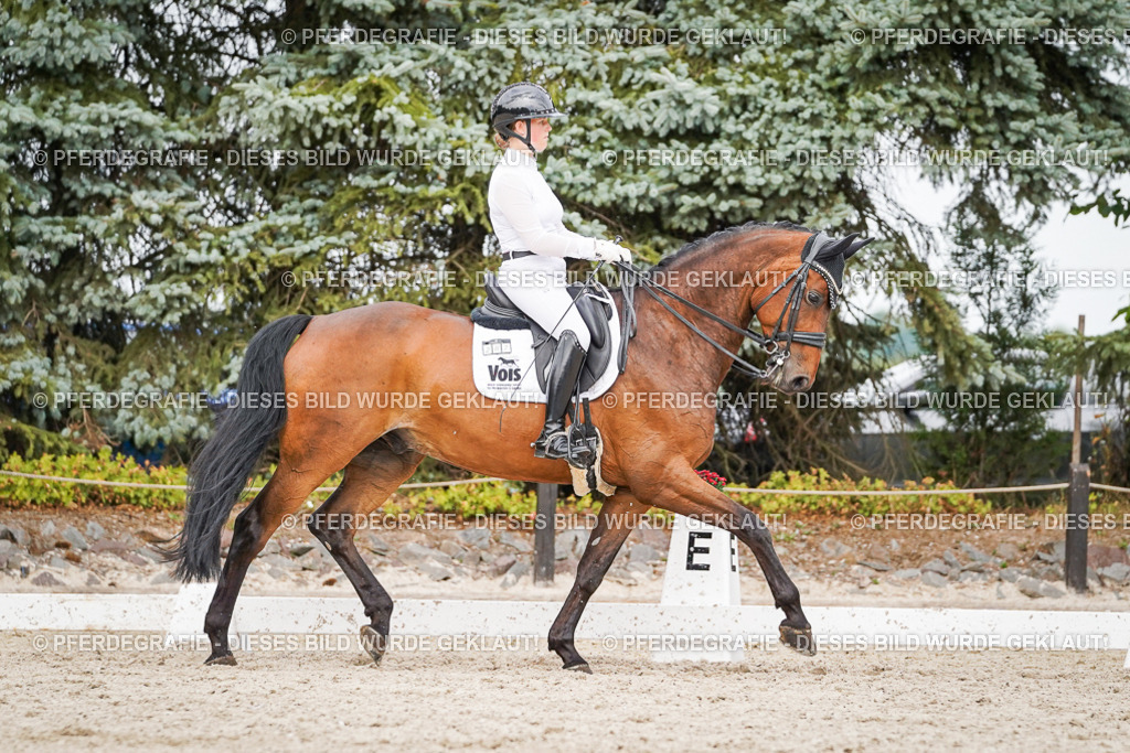 DSC06693 | Pferdegrafie