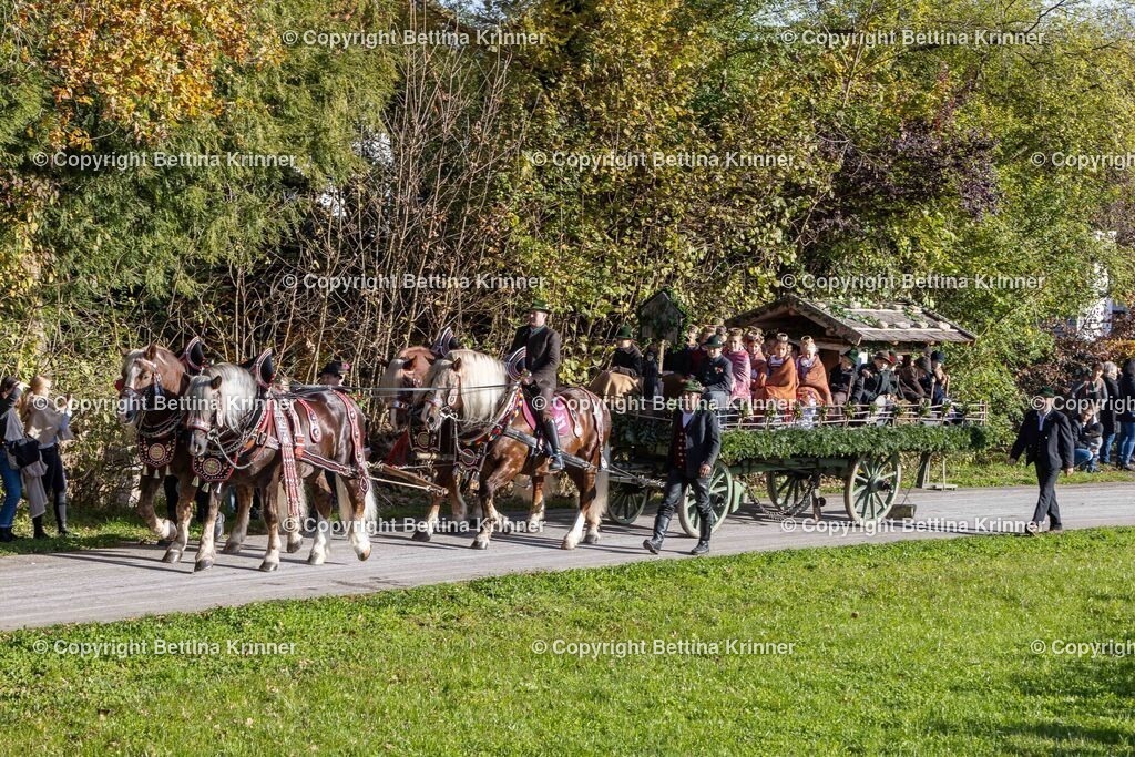 LBT24-360 | foto-bettina-krinner - Realisiert mit Pictrs.com
