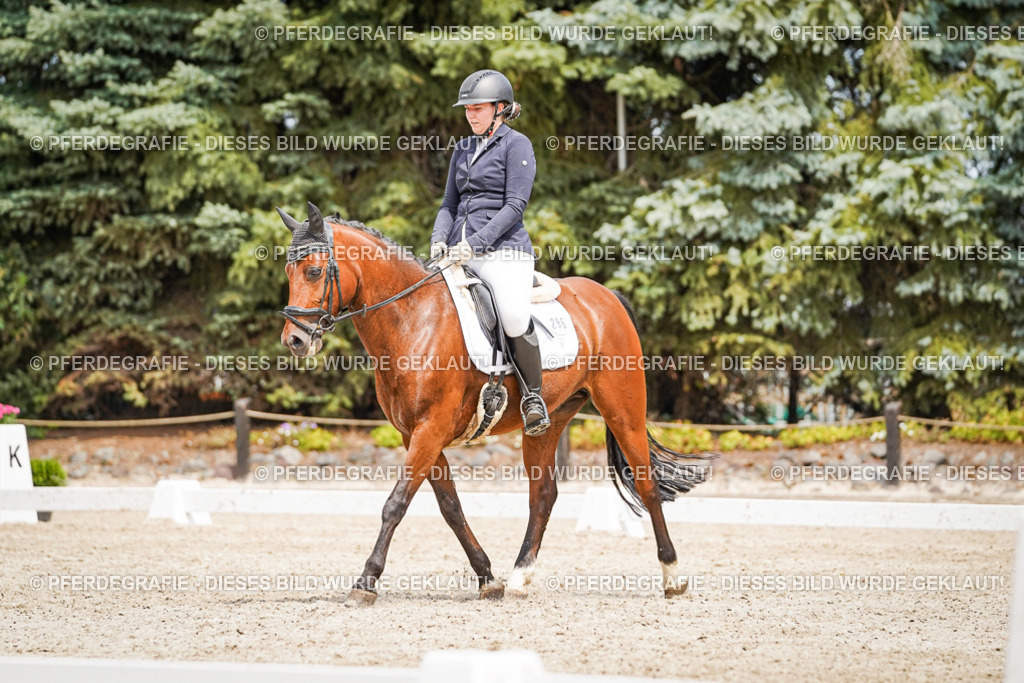 DSC03888 | Pferdegrafie