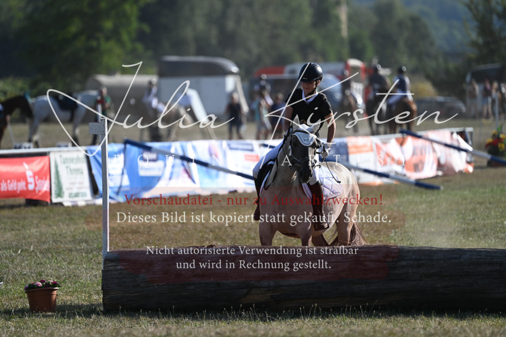 DSC_8950-2 | Pferde- und Turnierfotografie in Westsachsen. Pferdeportraits, Auftragszeichnungen und intuitive Kunst.