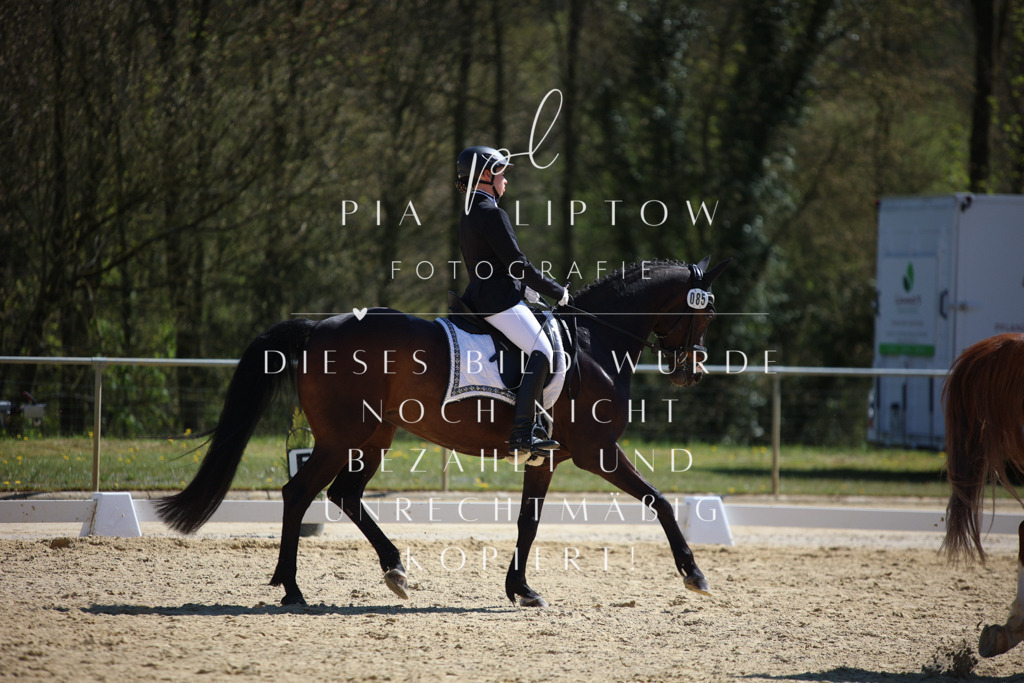 IMGT1577 | pl-fotografie