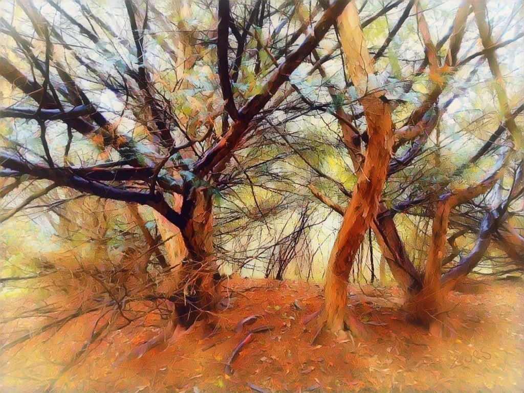 "magic trees"   | Künstler/in Member of AKM/austromechana. Troubadour. 2026 a fascinating journey began with Tatjana my AI muse✨ METISSIREN set sails and left the harbor ⛵